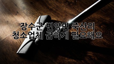 장수군 번암면 죽산리 청소업체 급하게 필요해요?