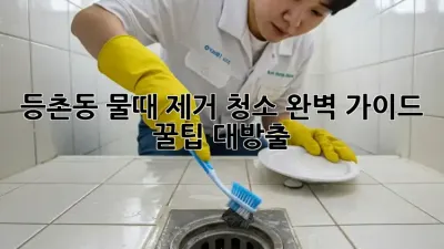 등촌동 물때 제거 청소✨ 완벽 가이드! 꿀팁 대방출🍯