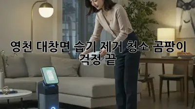 영천 대창면 습기 제거 청소: 곰팡이 걱정 끝!
