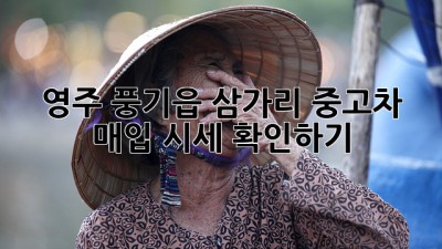 영주 풍기읍 삼가리 중고차 매입 시세 확인하기